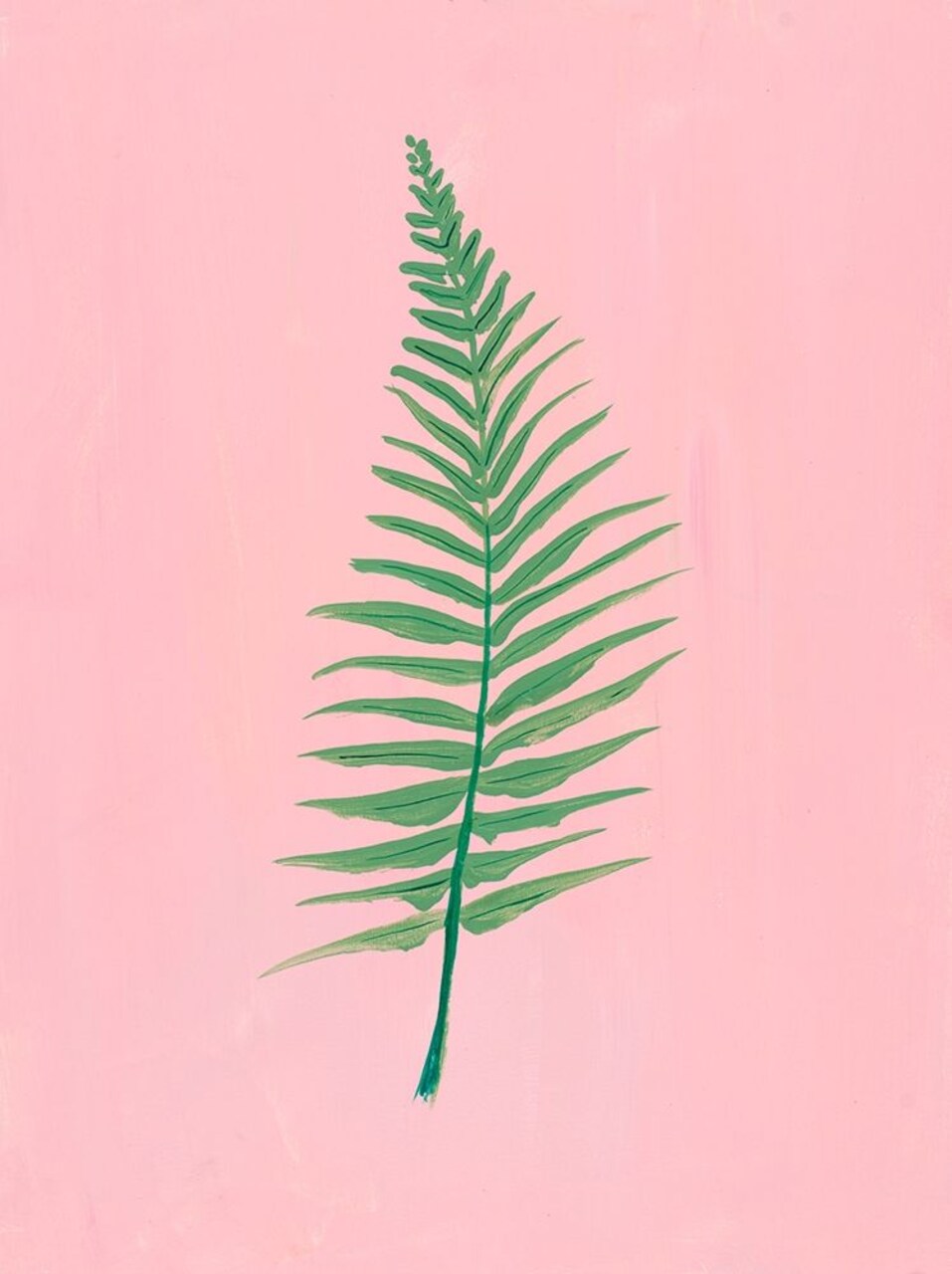 Pink Fern II Poster Print by Robin Maria - Item # VARPDX13787